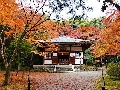 竹の寺　地蔵院